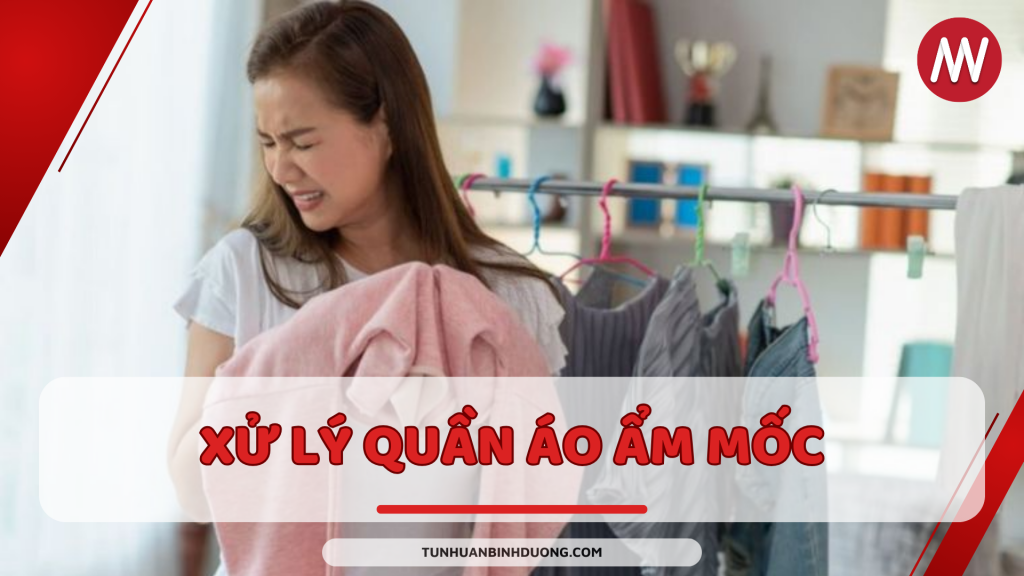 Xử lý quần áo ẩm mốc sao cho hiệu quả - Tủ nhựa Bình Dương .com